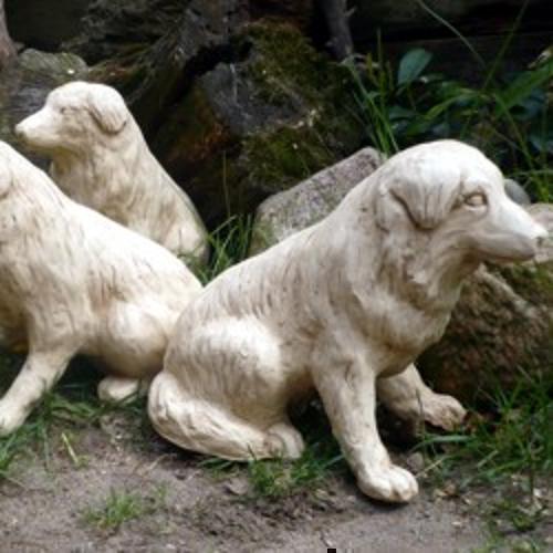 Hund