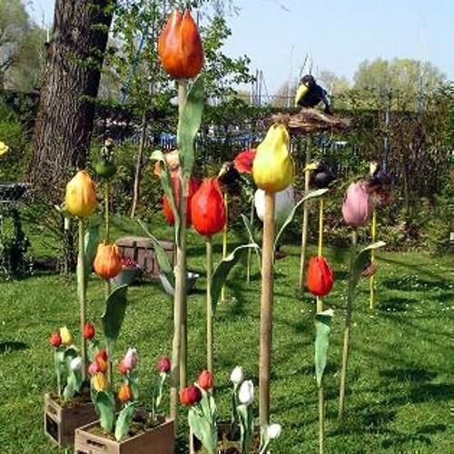 Tulpen